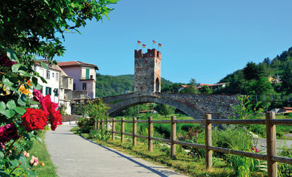 Savona cruisehaven in Italië
