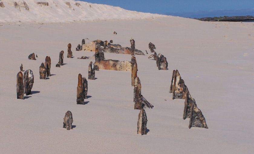 Wrak op strand Galapagos
