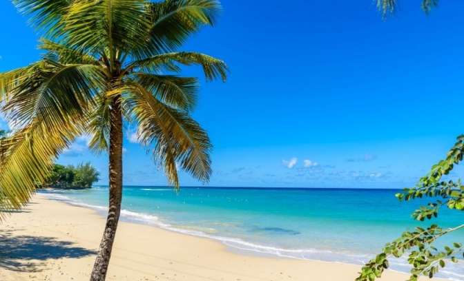 mullins beach barbados