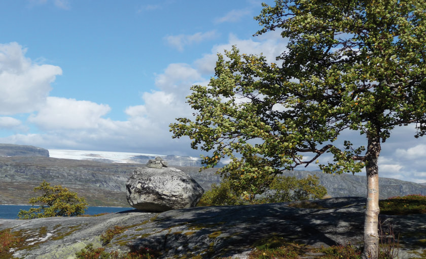 Zicht van bovenop een Fjord in Eidfjord
