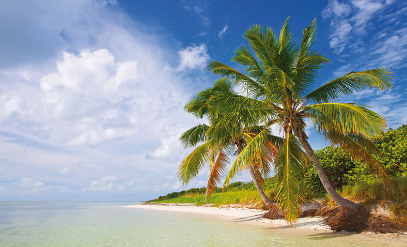 Een strand met palmbomen bij Key West